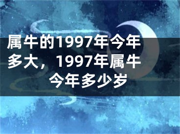 属牛的1997年今年多大,1997年属牛今年多少岁