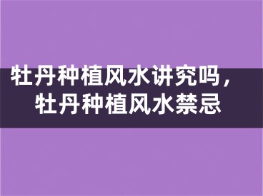 牡丹种植风水讲究吗,牡丹种植风水禁忌