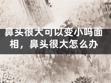 鼻头很大可以变小吗面相,鼻头很大怎么办