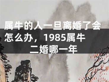 属牛的人一旦离婚了会怎么办，1985属牛二婚哪一年