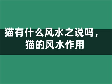 猫有什么风水之说吗,猫的风水作用