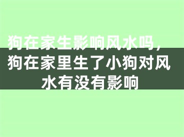 狗在家生影响风水吗，狗在家里生了小狗对风水有没有影响