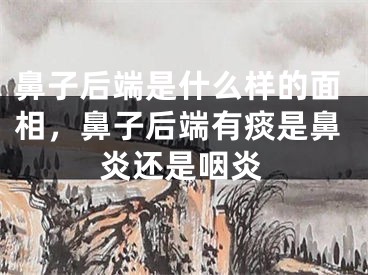 鼻子后端是什么样的面相,鼻子后端有痰是鼻炎还是咽炎
