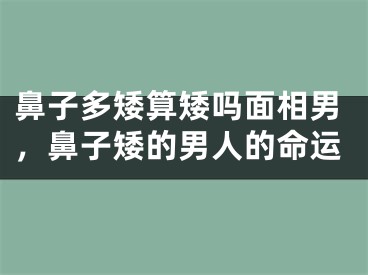鼻子多矮算矮吗面相男,鼻子矮的男人的命运