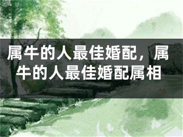 属牛的人最佳婚配,属牛的人最佳婚配属相