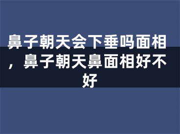 鼻子朝天会下垂吗面相，鼻子朝天鼻面相好不好