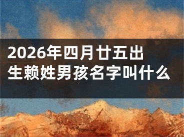 2026年四月廿五出生赖姓男孩名字叫什么