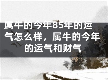属牛的今年85年的运气怎么样，属牛的今年的运气和财气