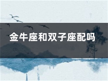 金牛座和双子座配吗
