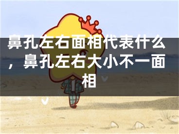鼻孔左右面相代表什么，鼻孔左右大小不一面相