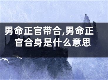 男命正官带合,男命正官合身是什么意思