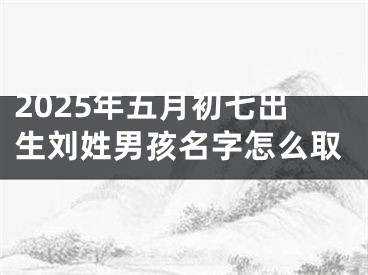 2025年五月初七出生刘姓男孩名字怎么取