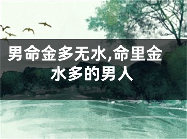 男命金多无水,命里金水多的男人
