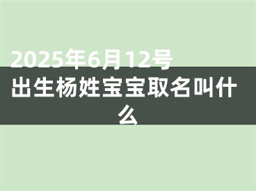 2025年6月12号出生杨姓宝宝取名叫什么