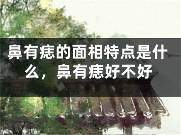 鼻有痣的面相特点是什么,鼻有痣好不好