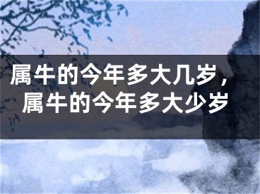 属牛的今年多大几岁,属牛的今年多大少岁