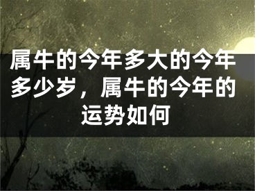 属牛的今年多大的今年多少岁,属牛的今年的运势如何