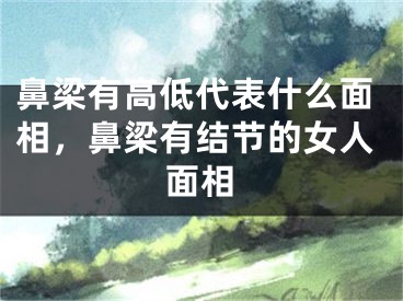 鼻梁有高低代表什么面相,鼻梁有结节的女人面相