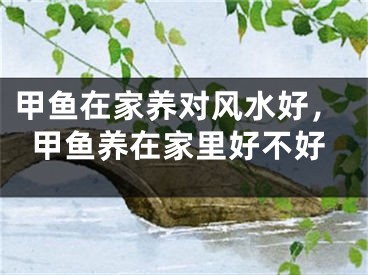 甲鱼在家养对风水好，甲鱼养在家里好不好