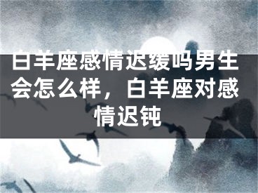 白羊座感情迟缓吗男生会怎么样，白羊座对感情迟钝