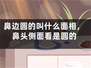 鼻边圆的叫什么面相，鼻头侧面看是圆的