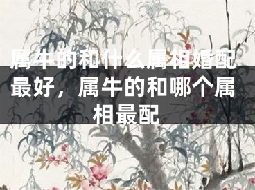 属牛的和什么属相婚配最好,属牛的和哪个属相最配