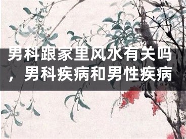 男科跟家里风水有关吗，男科疾病和男性疾病