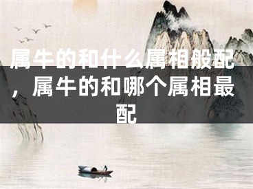 属牛的和什么属相般配,属牛的和哪个属相最配