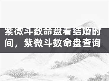 紫微斗数命盘看结婚时间，紫微斗数命盘查询