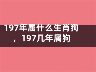 197年属什么生肖狗,197几年属狗
