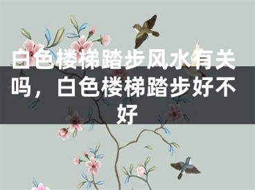 白色楼梯踏步风水有关吗,白色楼梯踏步好不好
