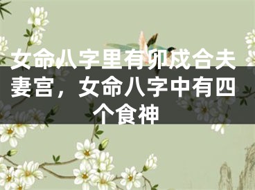女命八字里有卯戍合夫妻宫，女命八字中有四个食神