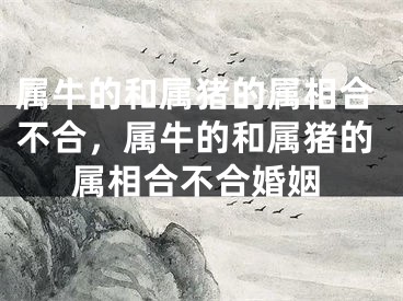 属牛的和属猪的属相合不合,属牛的和属猪的属相合不合婚姻