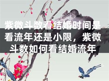 紫微斗数看结婚时间是看流年还是小限，紫微斗数如何看结婚流年