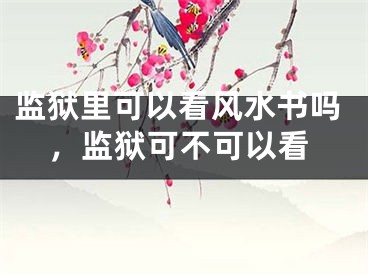 监狱里可以看风水书吗，监狱可不可以看