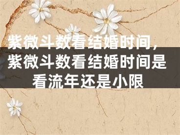 紫微斗数看结婚时间，紫微斗数看结婚时间是看流年还是小限