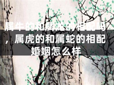 属牛的和属龙的相配吗,属虎的和属蛇的相配婚姻怎么样