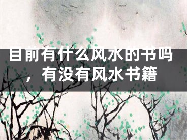 目前有什么风水的书吗,有没有风水书籍