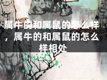 属牛的和属鼠的怎么样，属牛的和属鼠的怎么样相处