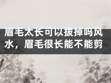 眉毛太长可以拔掉吗风水,眉毛很长能不能剪