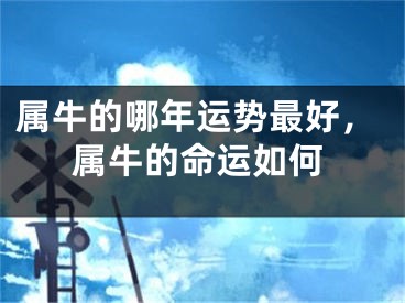 属牛的哪年运势最好,属牛的命运如何