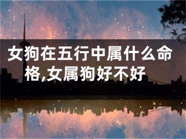 女狗在五行中属什么命格,女属狗好不好