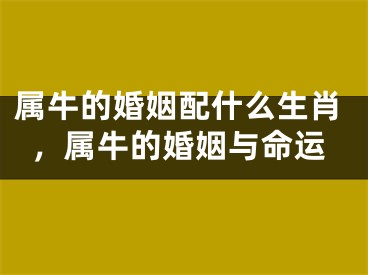 属牛的婚姻配什么生肖，属牛的婚姻与命运