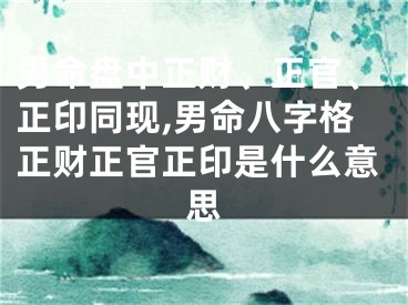 男命盘中正财、正官、正印同现,男命八字格正财正官正印是什么意思