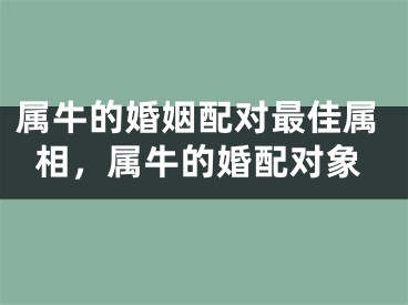 属牛的婚姻配对最佳属相,属牛的婚配对象