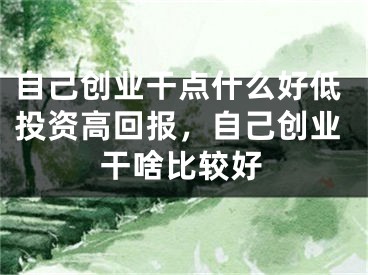 自己创业干点什么好低投资高回报,自己创业干啥比较好