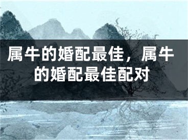 属牛的婚配最佳,属牛的婚配最佳配对