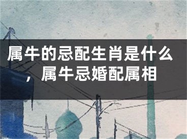 属牛的忌配生肖是什么,属牛忌婚配属相