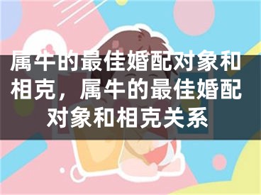 属牛的最佳婚配对象和相克,属牛的最佳婚配对象和相克关系