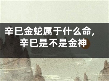 辛巳金蛇属于什么命,辛巳是不是金神